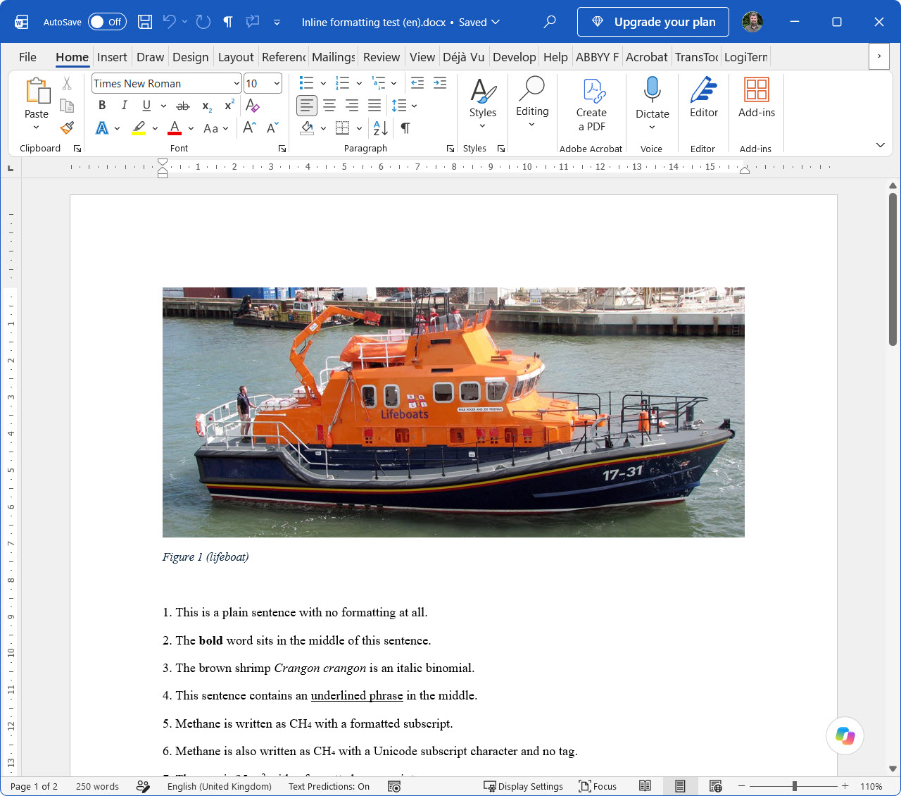 A Word document with a photo of a lifeboat captioned Figure 1 (lifeboat)